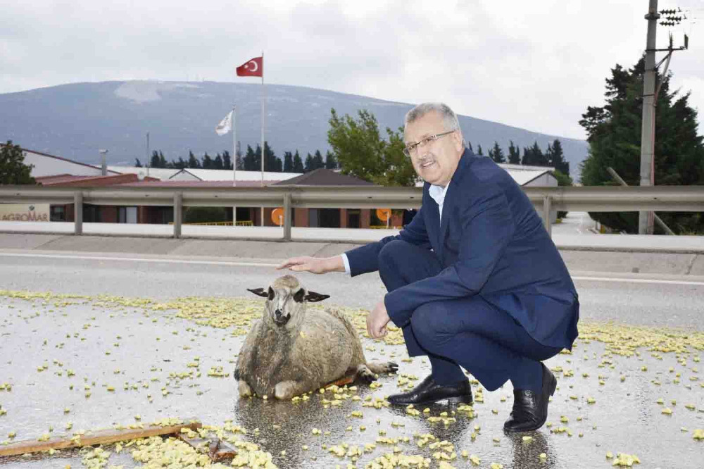 Bursa’da tır şoförünün dikkati faciayı önledi