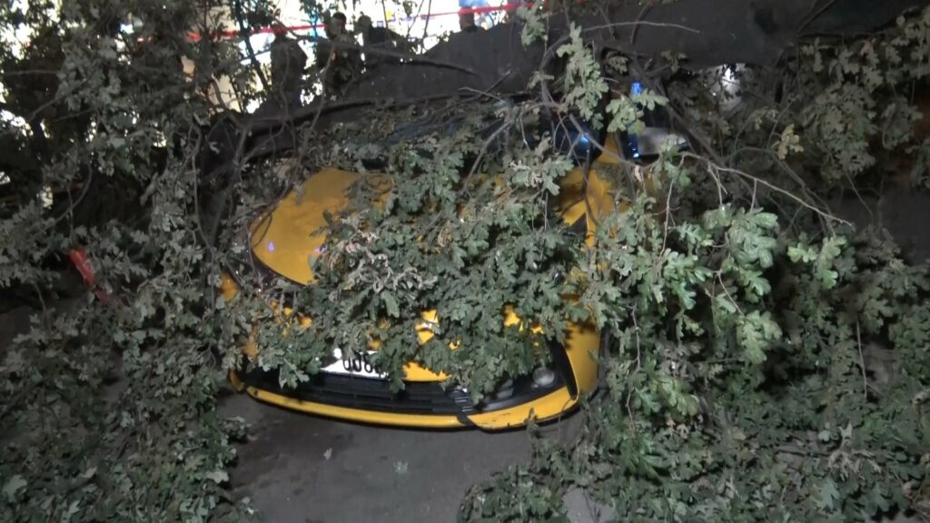 Bursa’da asırlık ağaç taksilerin üstüne devrildi