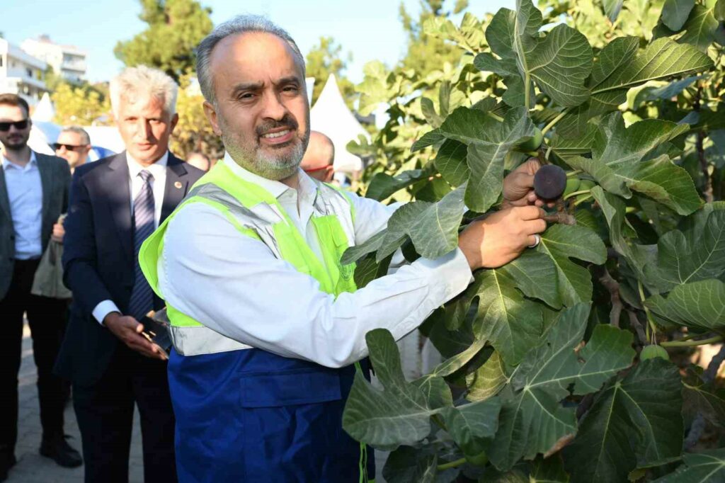 “Bursa Siyahı”nda hasat zamanı