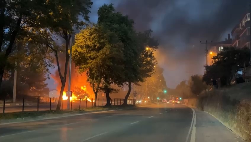 Bursa’da zeytinlikte çıkan yangın söndürüldü