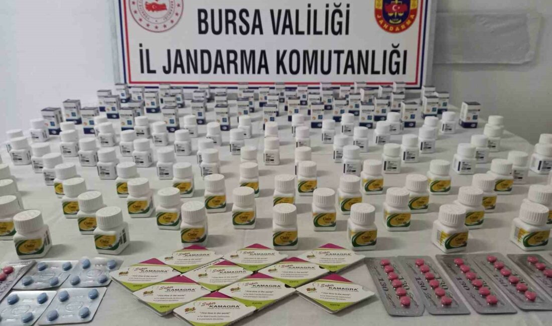 Bursa’nın Gemlik ilçesinde Jandarma