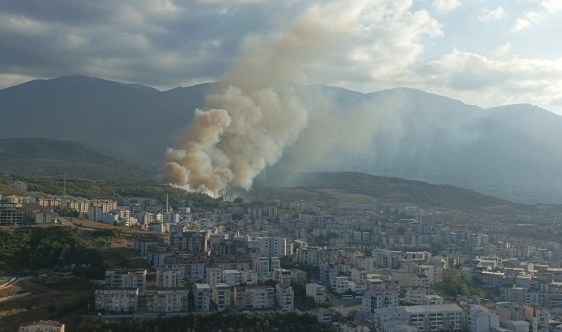 Bursa’nın Kestel ilçesindeki çimento