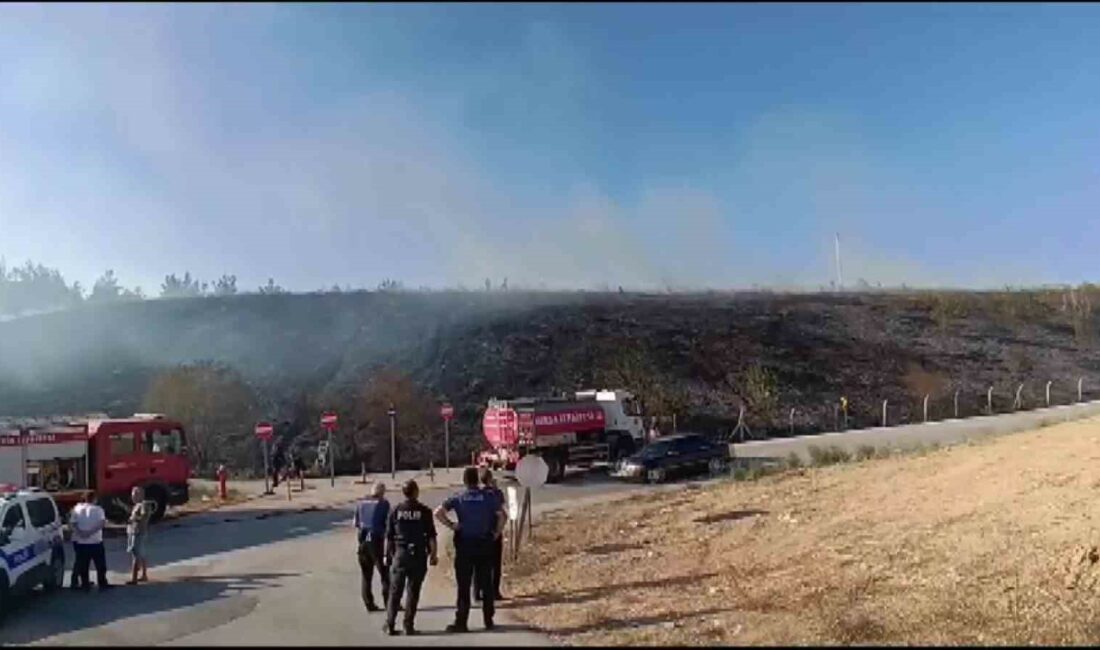 Bursa’nın Nilüfer ilçesinde, otluk