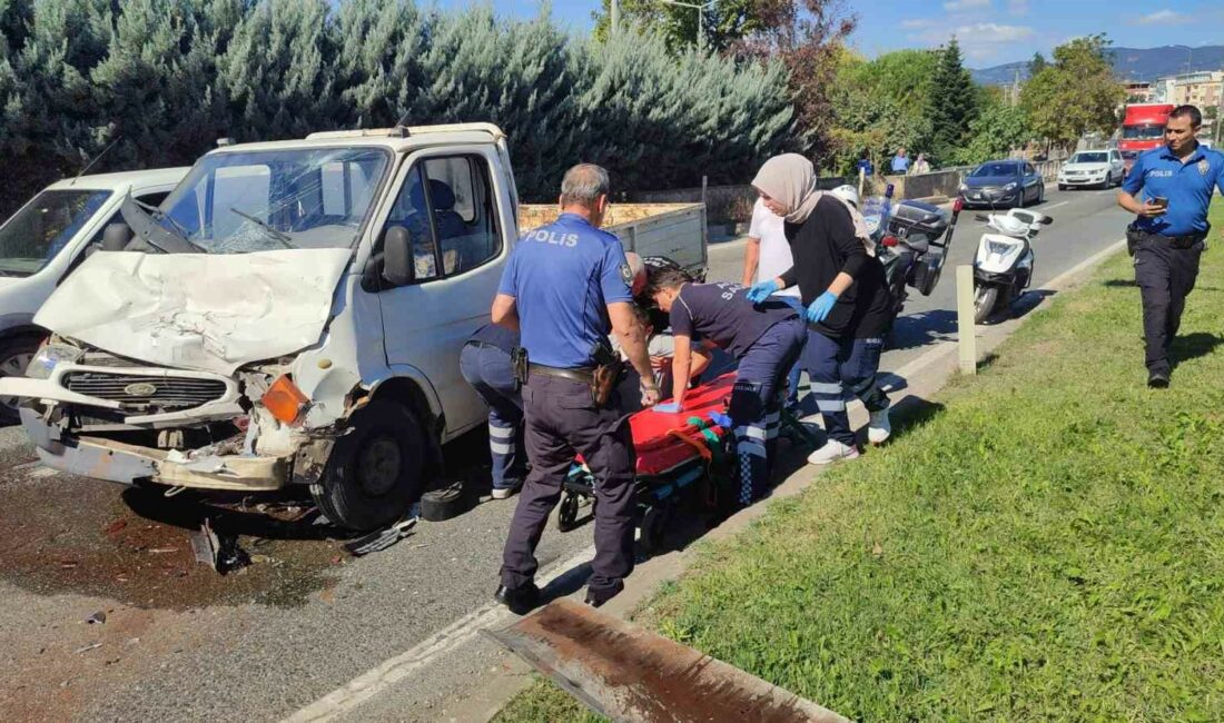 Bursa'nın Orhangazi ilçesinde, seyir