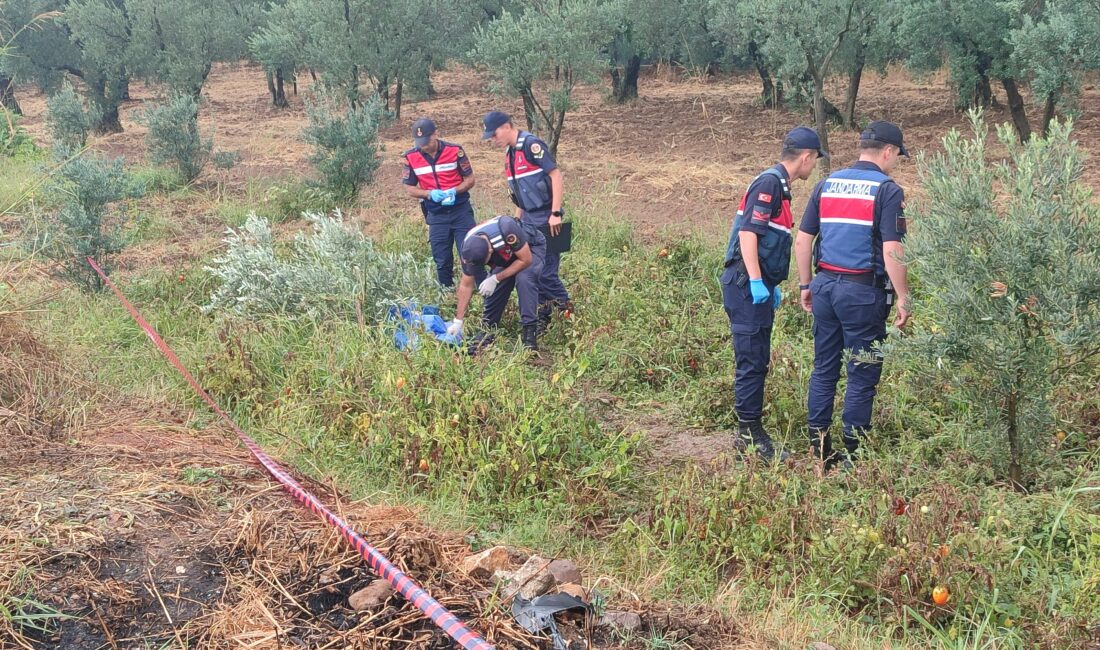 Bursa’da çarptığı yayayı öldüren sürücü olay yerinden kaçtı