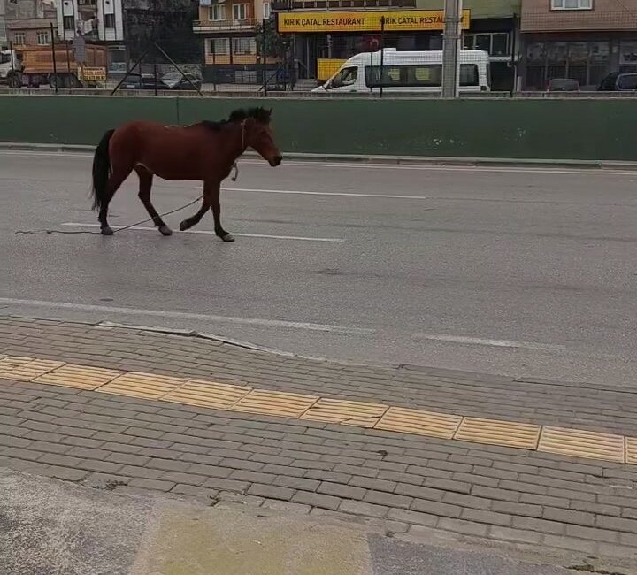 BURSA’DA ANA YOLA ÇIKAN