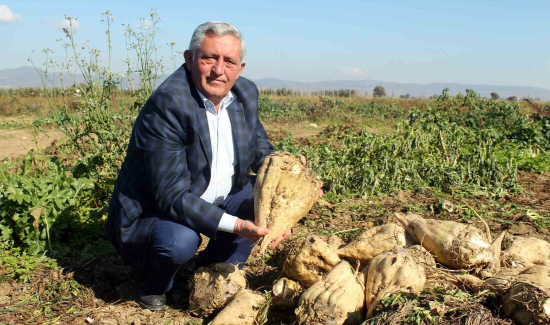 TÜRKŞEKER'İN AÇIKLADIĞI FİYATLARA TEPKİ