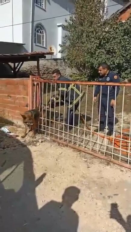 Bursa’da demir kapıya sıkışan köpeği itfaiye kurtardı