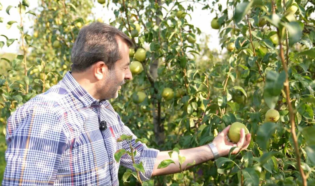 Dünyanın en verimli ovalarından