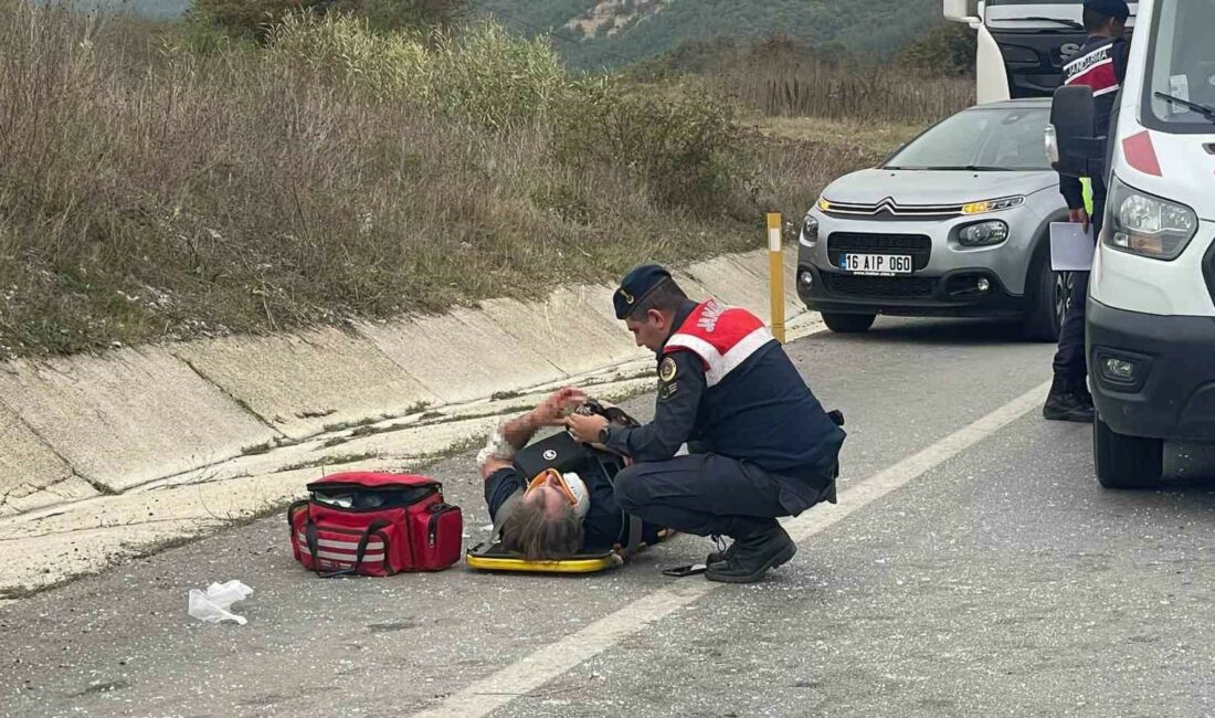 İZNİK-YENİŞEHİR YOLU ÜZERİNDE KAMYONET