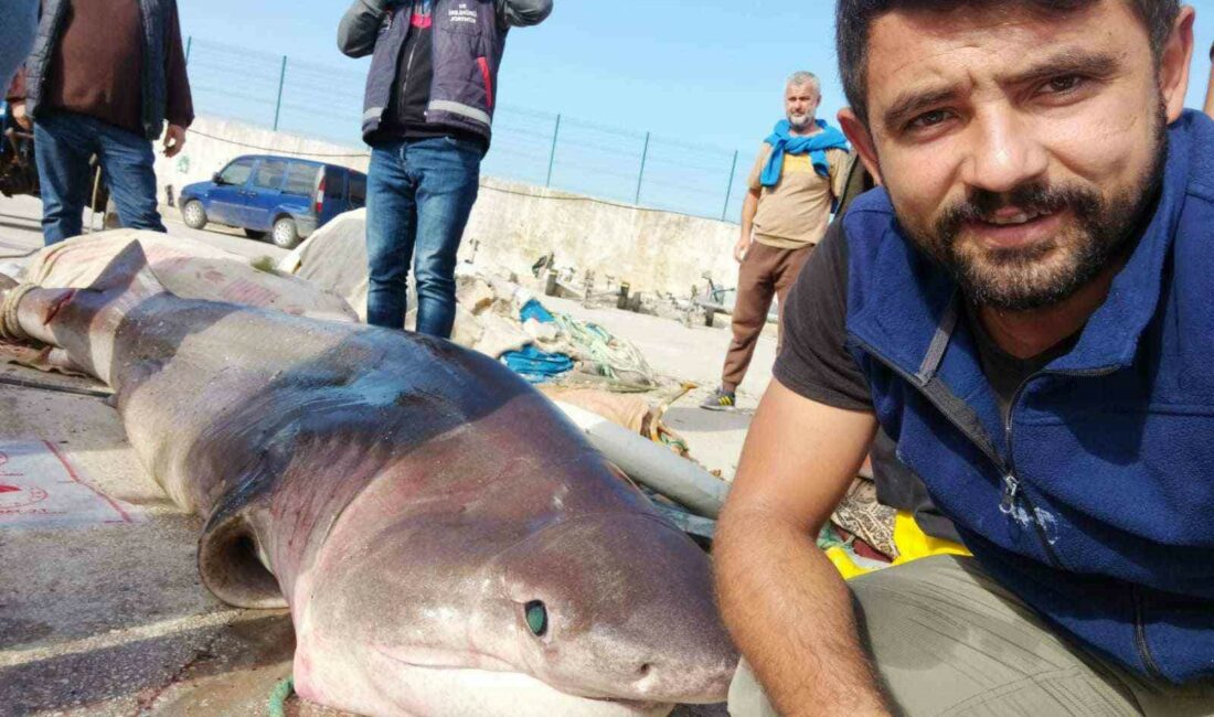 Marmara Denizi’nin güney kıyılaranı