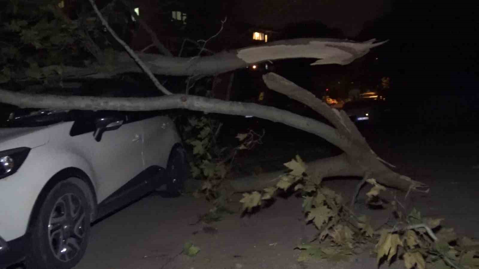 Ağaç ve elektrik direği araçların üzerine devrildi, 2 araç hasar aldı