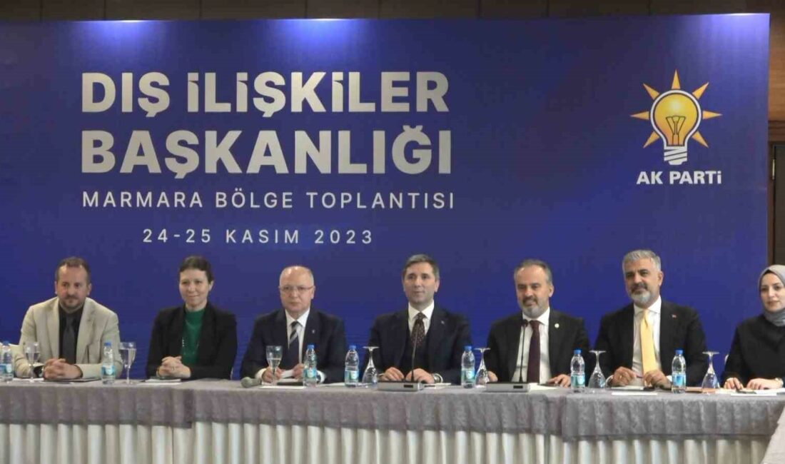 AK PARTİ DIŞ İŞLER