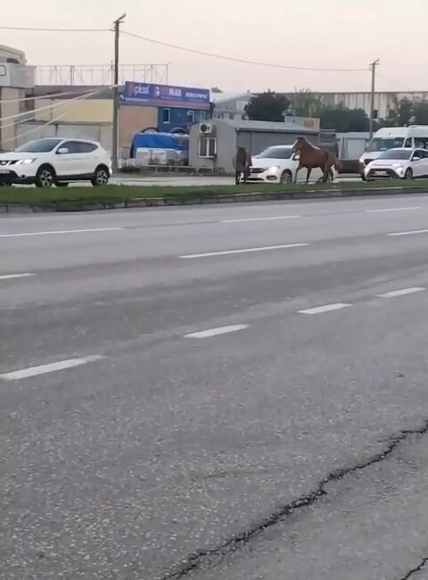 BURSA'DA ANA YOL ÜZERİNDEKİ