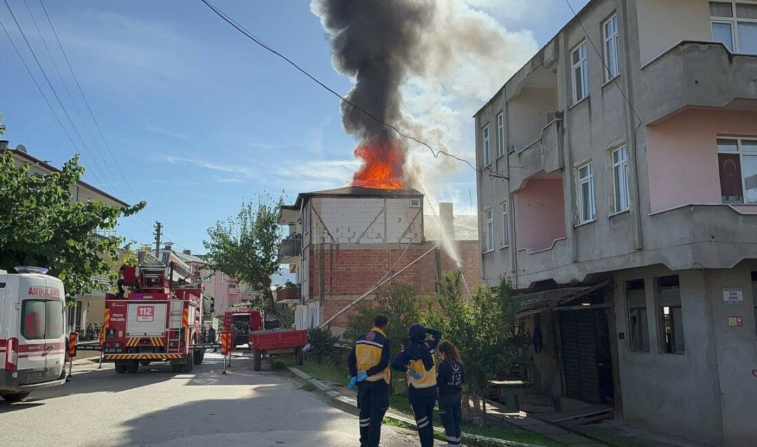 BURSA'NIN İZNİK İLÇESİNDE 3