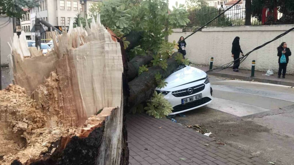 Bursa’da lodos nedeniyle ağaç ve elektrik direği otomobillerin üstüne düştü