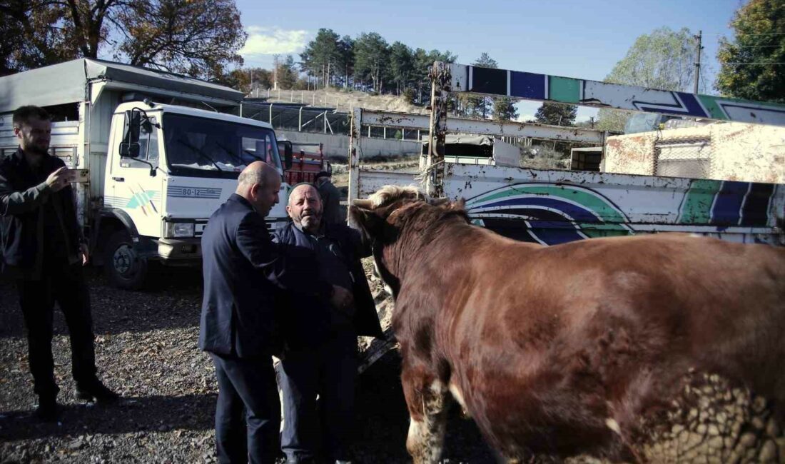 BURSA’NIN DAĞ İLÇELERİNDEN BÜYÜKORHAN’DA