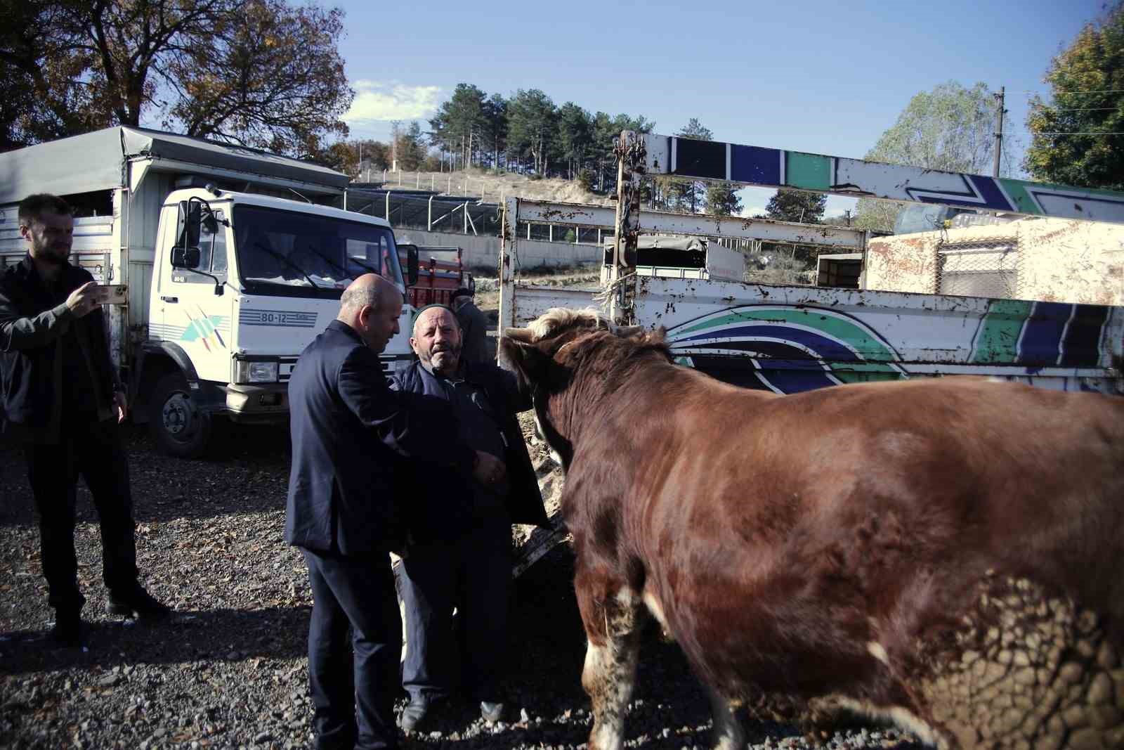 Büyükorhan Marmara’da hayvancılığın merkezi oldu