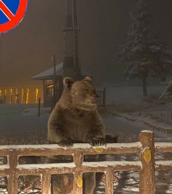 Kış turizminin önemli merkezlerinden