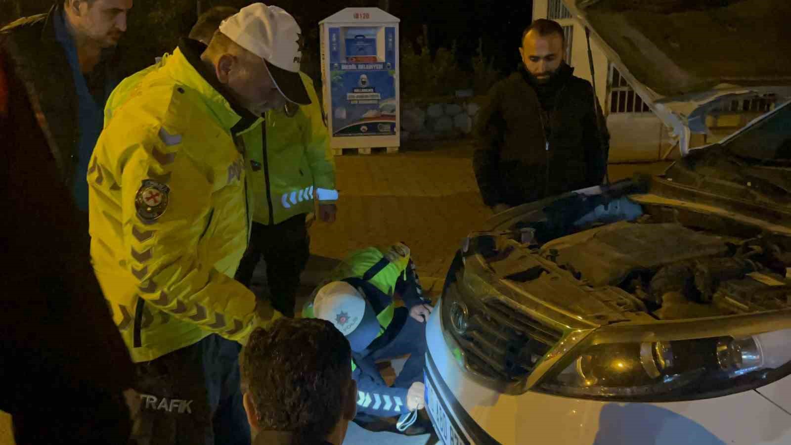 Polisin dikkati kediyi ölümden kurtardı