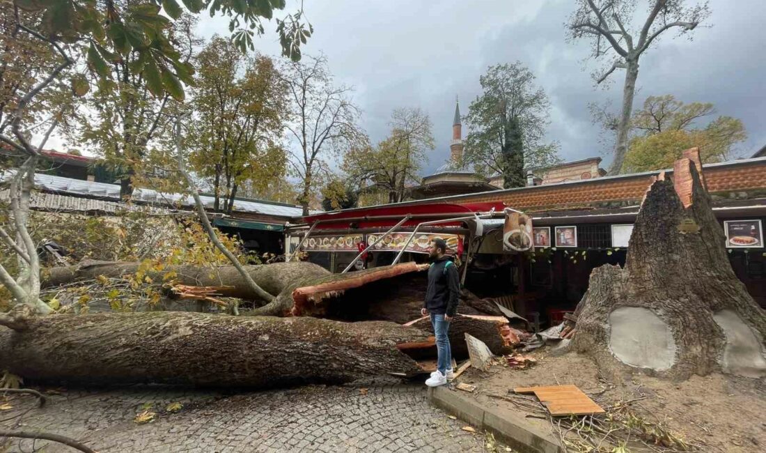 BURSA'DA 2.BEYAZID TARAFINDAN İSTANBUL'DAKİ