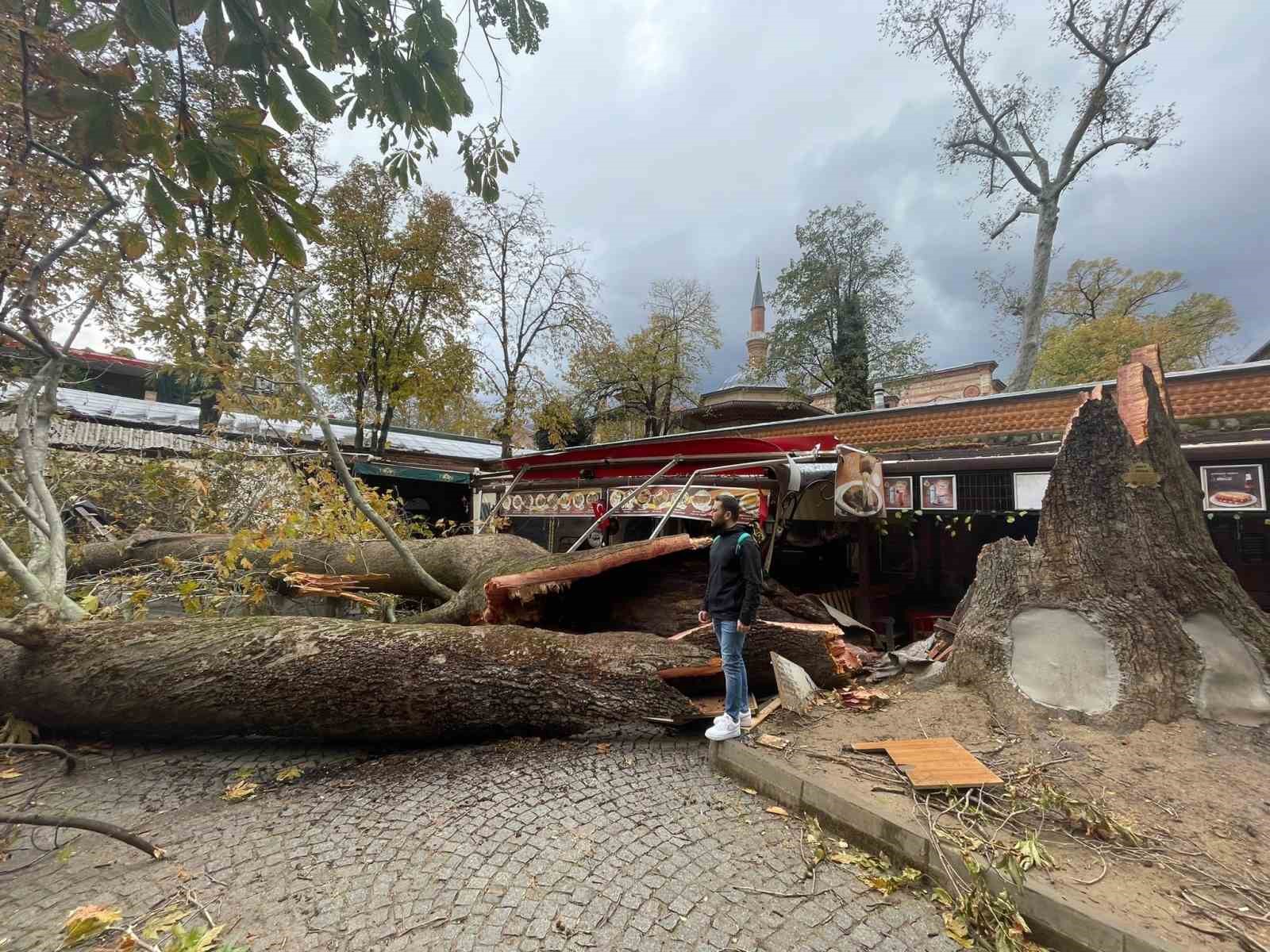 Tarihi Kozahan’da 250 yaşındaki tarihi çınar fırtınaya dayanamadı