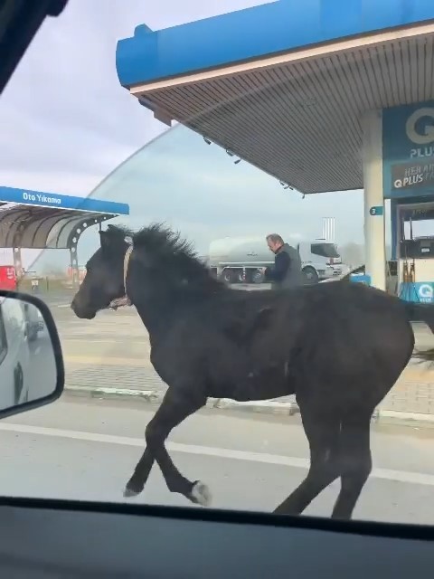 Bursa caddelerinde başıboş tay araçlarla yarıştı