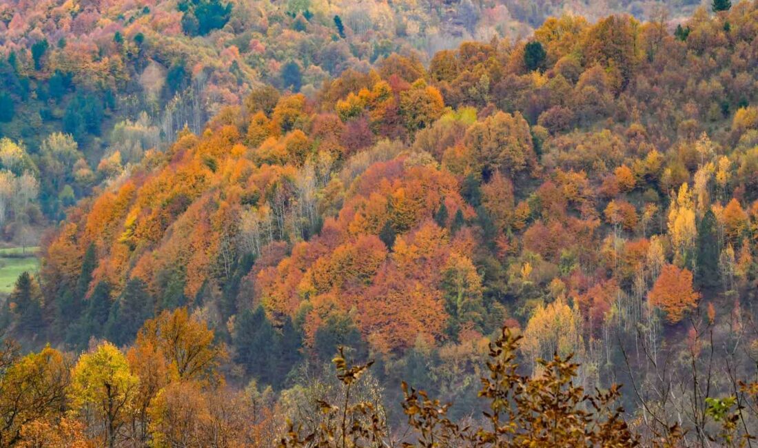 BURSA’NIN İNEGÖL İLÇESİNDE DAĞLARDA