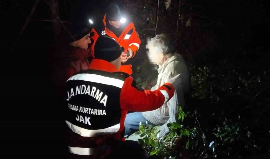 BURSA’DA MANTAR TOPLAMAK İÇİN