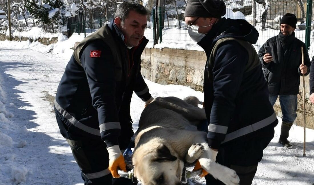 OSMANGAZİ BELEDİYESİ, SON DÖNEMDE