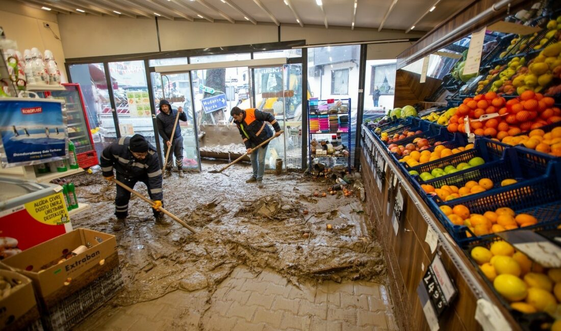 MUDANYA ESNAF VE SANATKÂRLAR