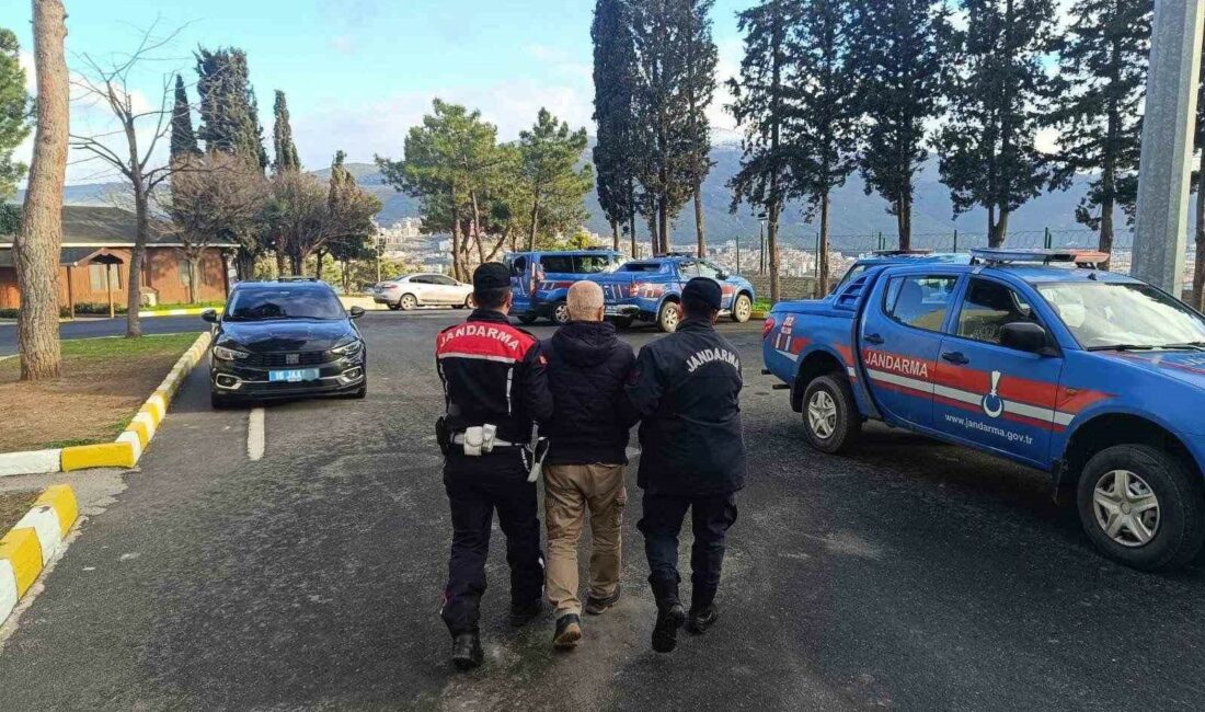 Bursa'nın Gemlik ilçesinde, hakkında