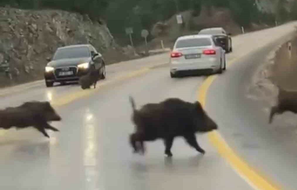 Bursa'nın Keles ilçesinde, karayolunda