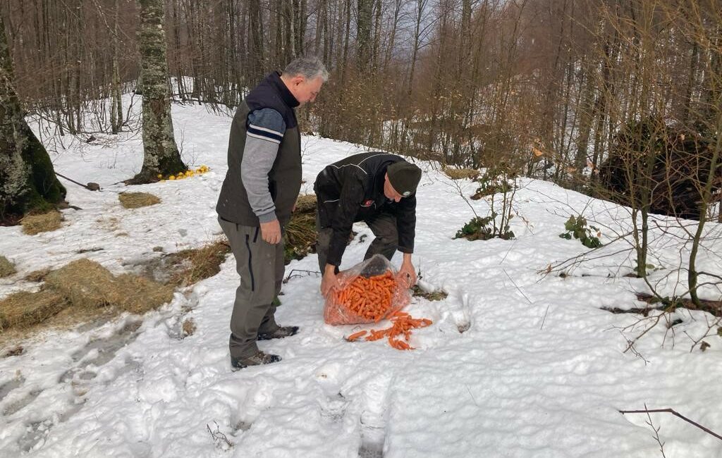 TARIM ORMAN BAKANLIĞI DOĞA