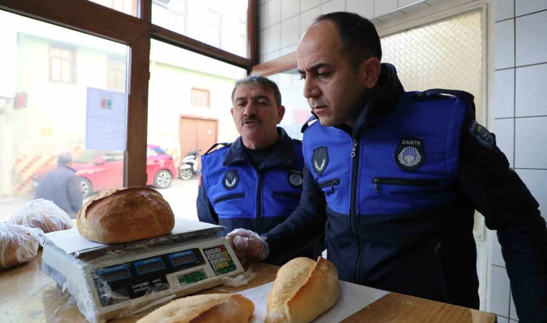 GEMLİK BELEDİYESİ ZABITA MÜDÜRLÜĞÜ