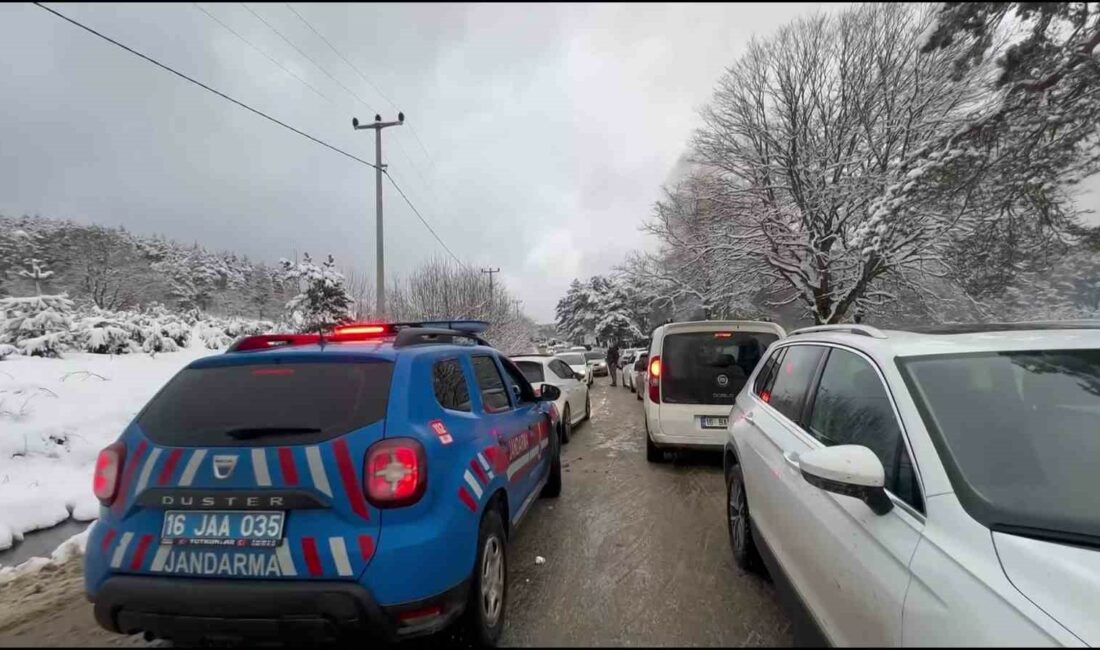 BURSA’NIN İZNİK İLÇESİNDE JANDARMA