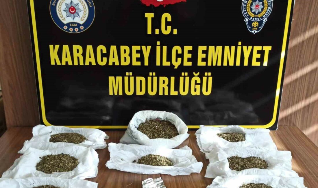 Bursa’nın Karacabey ilçesinde gerçekleştirilen