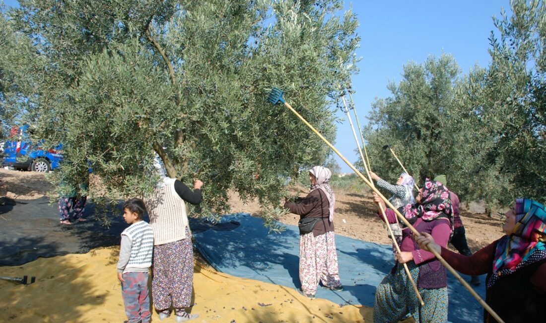 MUDANYA ZİRAAT ODASI YÖNETİM