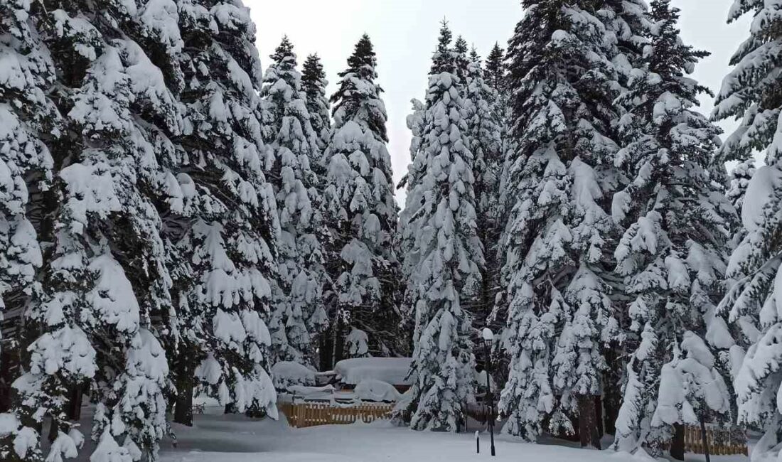 ULUDAĞ'DA KAR KALINLIĞI 78