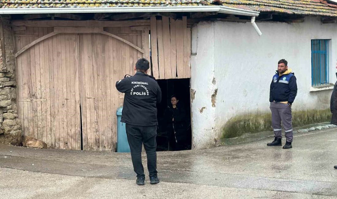 Bursa'nın Nilüfer ilçesinde, sobadan