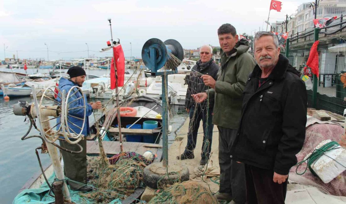 Mudanya Merkez Su Ürünleri