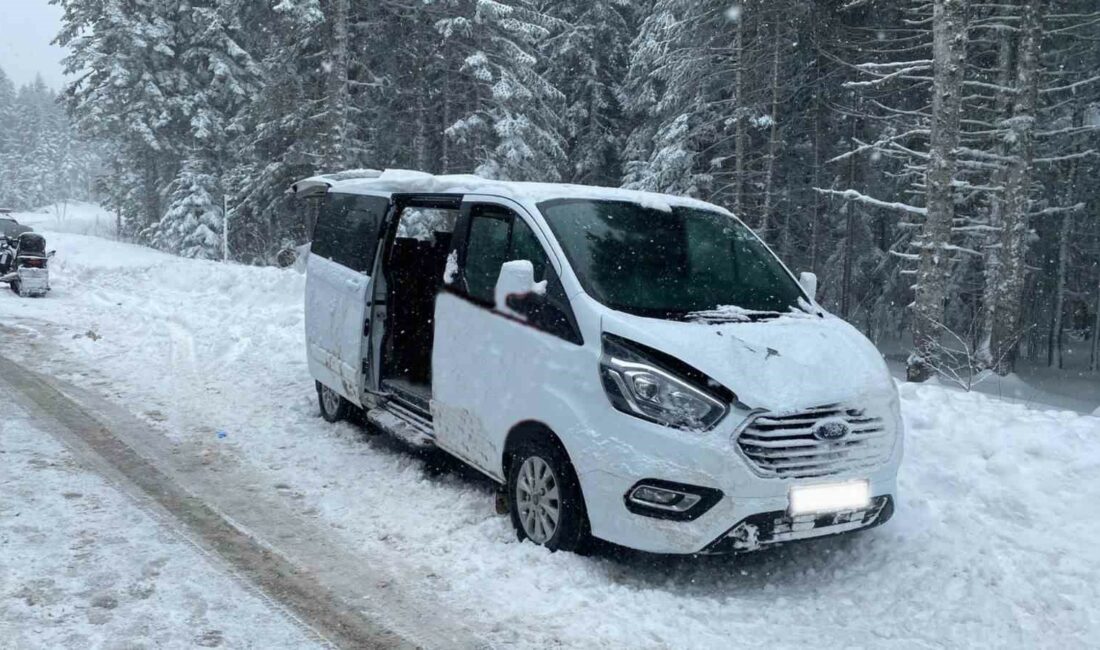 Bursa'da, izinsiz turist taşıyan