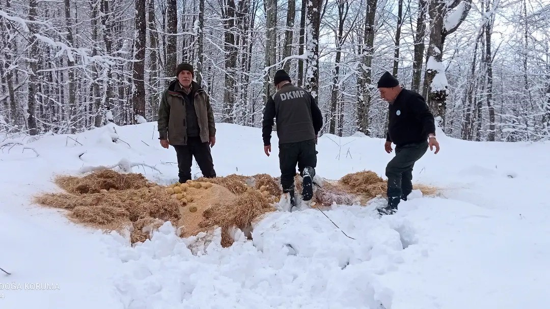 Bursa’da yaban hayvanlarına yiyecek desteği