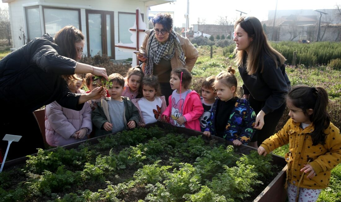 NİLÜFER BELEDİYESİ’NİN EKOLOJİK TARIM