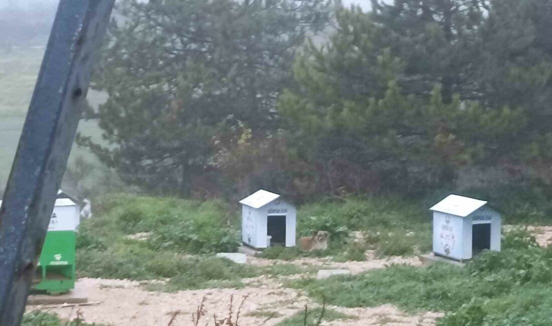 BURSA'NIN MUDANYA İLÇESİNDE YÖRÜKALİ