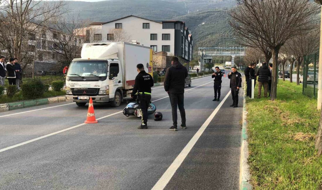 Bursa’nın Gemlik ilçesinde refüjdeki