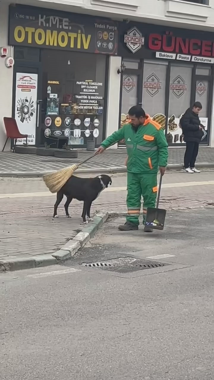 Bursa’da köpeği süpürgeyle temizleyen görevli gülümsetti