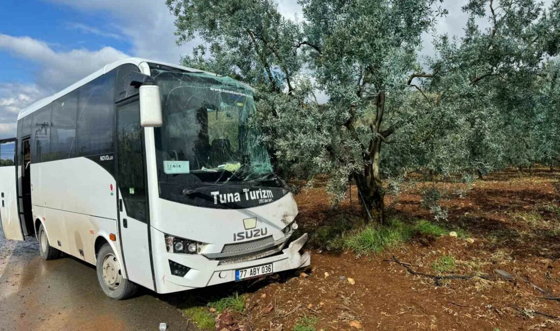 Bursa'nın İznik ilçesinde bir