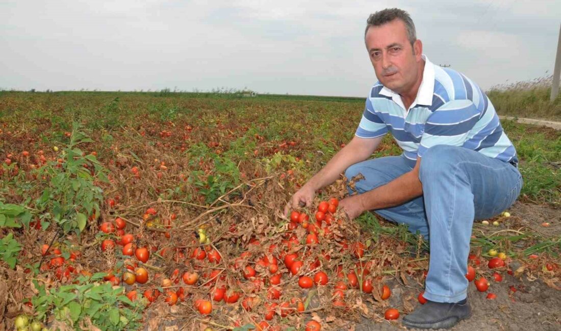 KARACABEY ZİRAAT ODASI BAŞKANI