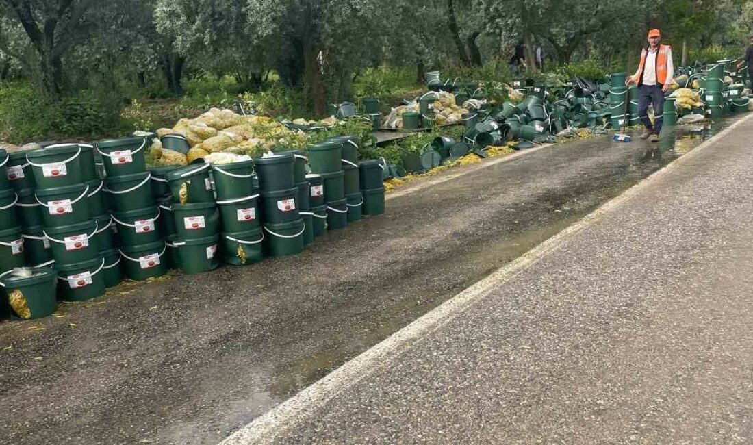 BURSA’DA TURŞU YÜKLÜ TIR,